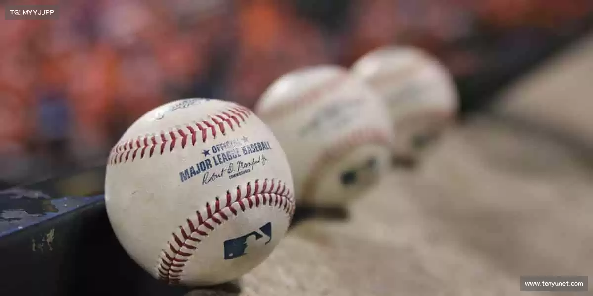 ✨ 用代码编织梦想,让每一次点击都充满惊喜!